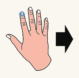 descrição do dedo colidivel