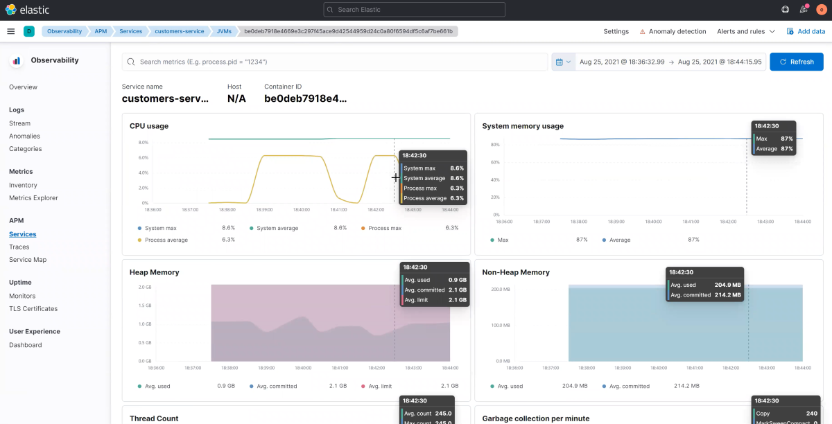 Screenshot of Elastic / Kibana that shows the APM Services JVM page.