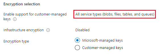 Screenshot showing how to verify that the storage account is relying on the account encryption key