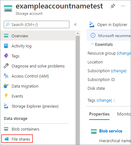 A screenshot of the data storage section of the storage account; select file shares.