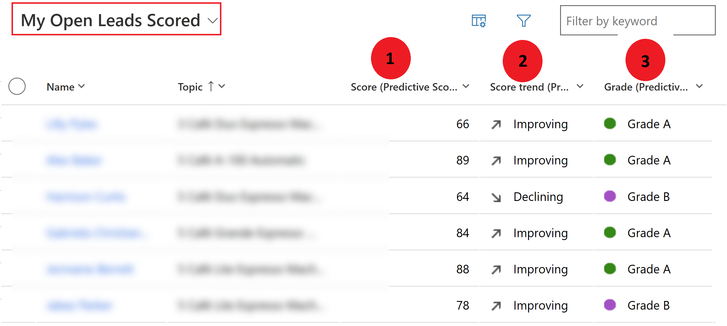 Captură de ecran a vizualizării My Open Leads Scored.