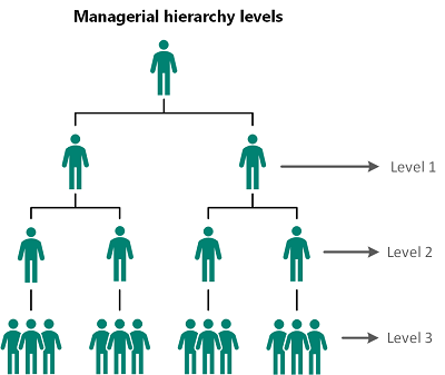 Înțelegerea nivelurilor ierarhice manageriale