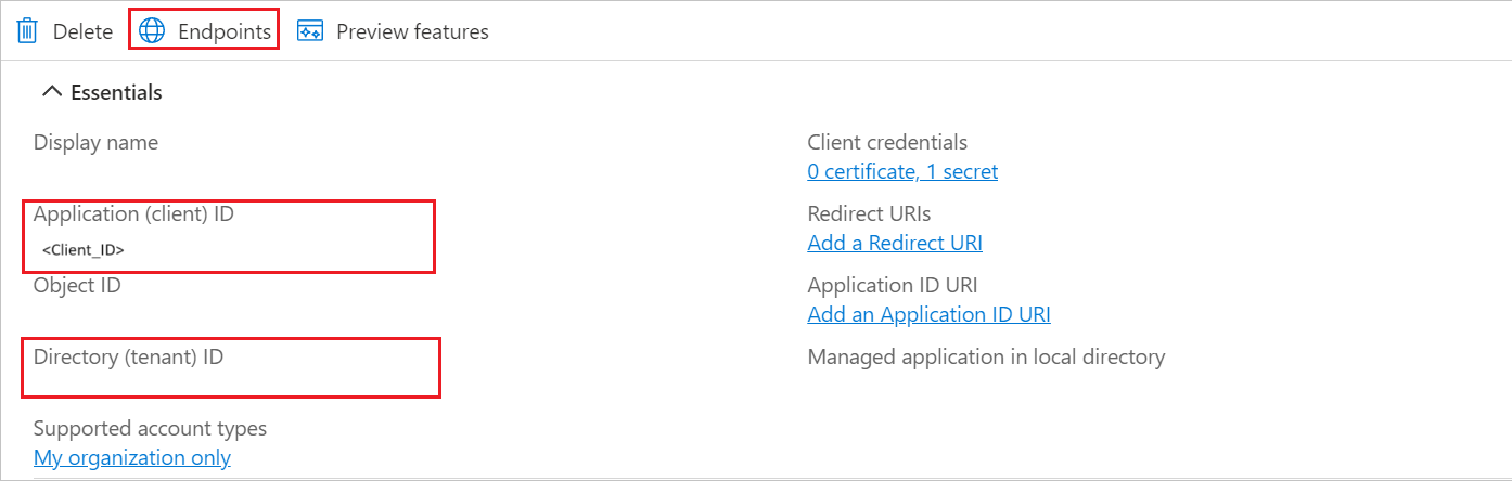 Screenshot of application client values.