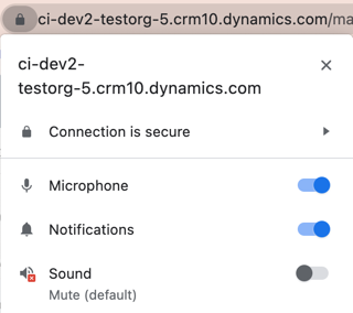 Screenshot that shows how to enable sound permissions in Google Chrome.