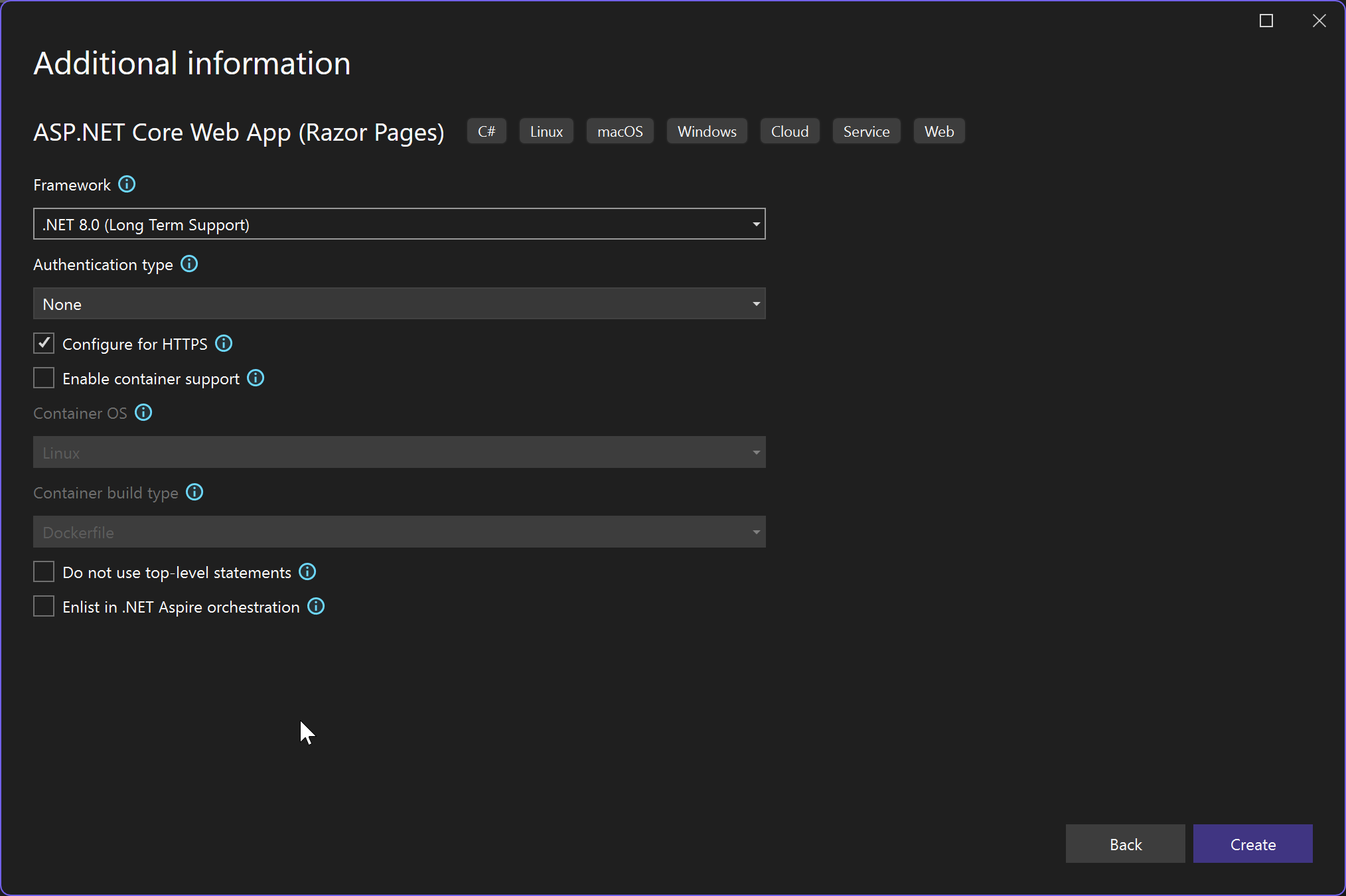 Screenshot of the Additional information screen when creating a web project. The option to Enable container support is not selected.