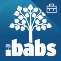 Партнерское приложение — значок iBabs для Intune