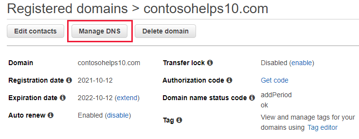 Выберите Управление DNS в раскрывающемся списке.