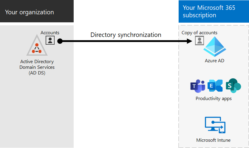 Microsoft integration