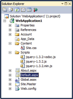 Новое веб-приложение в Visual Studio 2010