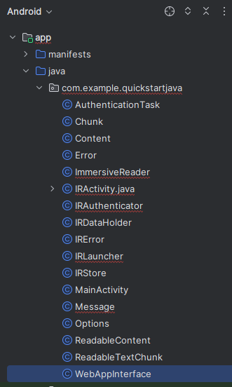 Screenshot of WebAppInterface Java class file.