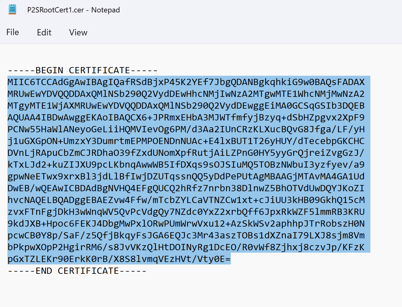 Снимок экрана: в Блокноте открыт CER-файл, в котором выделены данные сертификата.