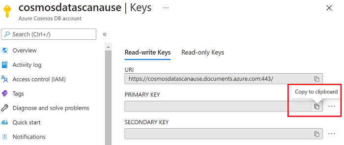 Снимок экрана: ключи доступа для копирования