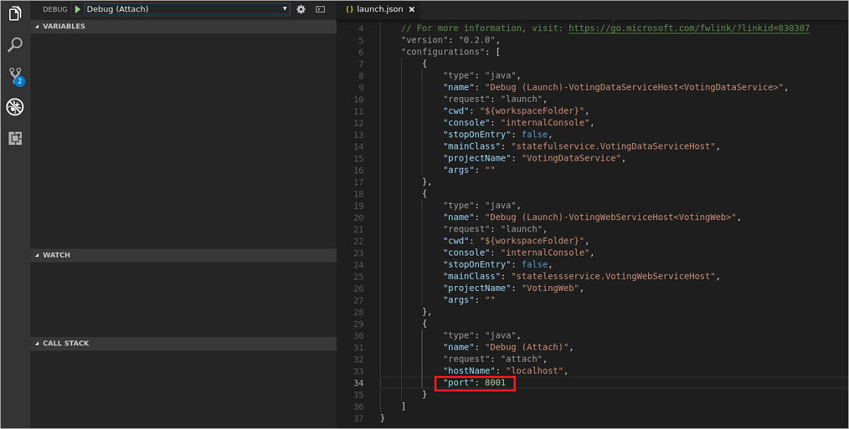 Debug Configuration for the launch.json