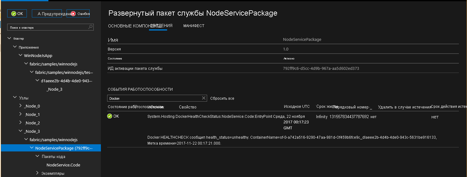 Screenshot shows details of the Deployed Service Package NodeServicePackage.