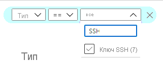 Снимок экрана: фильтрация списка для просмотра всех ключей SSH.