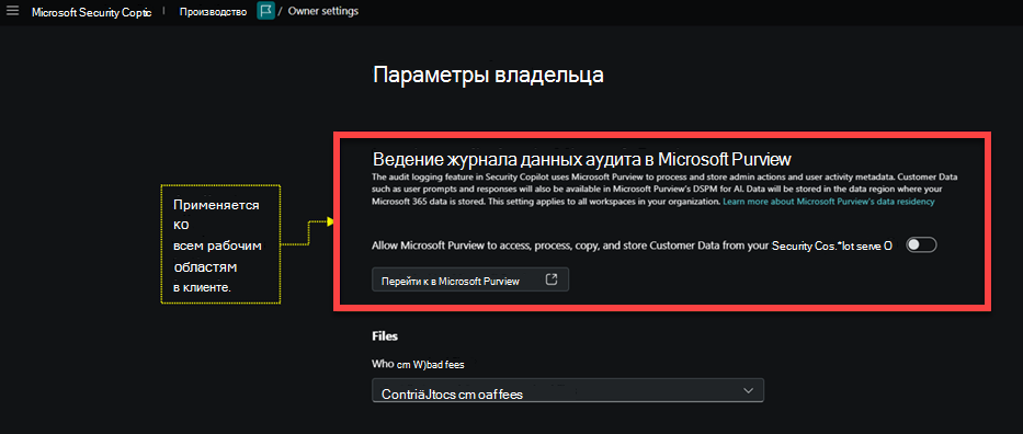 Изображение страницы параметров владельца с выделенным параметром ведения журнала данных аудита.