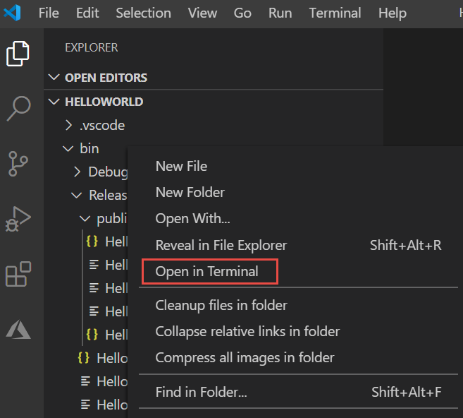 Context menu showing Open in Terminal