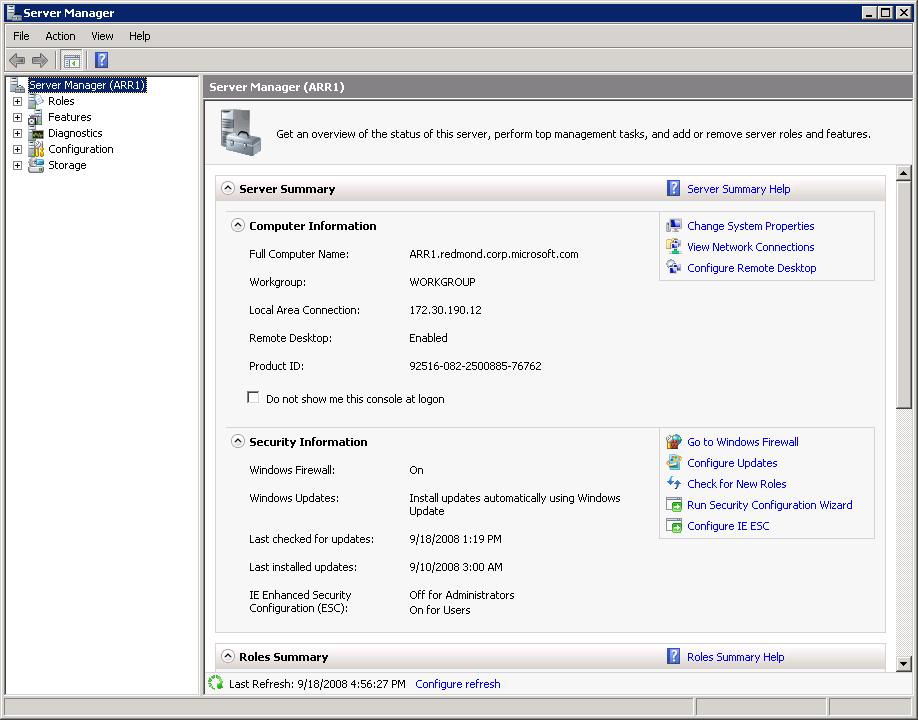 Снимок экрана: окно диспетчер сервера с подробными сведениями на главной панели.
