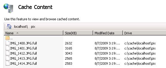 Снимок экрана: область содержимого кэша со списком файлов и их расположениями кэша на жестком диске.