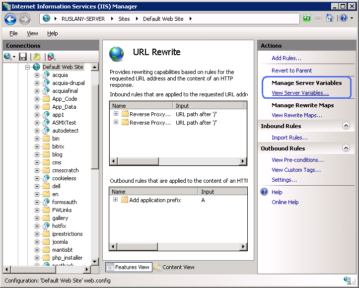 Снимок экрана: просмотр переменных сервера в разделе Управление переменными сервера на панели 