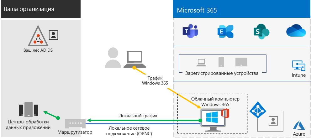 Components of Windows 365.
