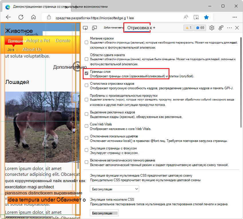 Инструмент отрисовки с установленным флажком 
