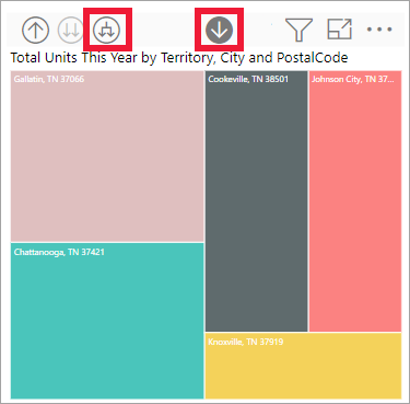 Screenshot of the visual showing category, manufacturer, and segment.