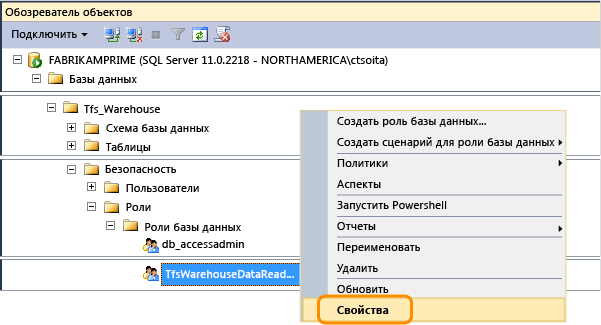 Открытие свойств роли чтения данных Tfs_Warehouse