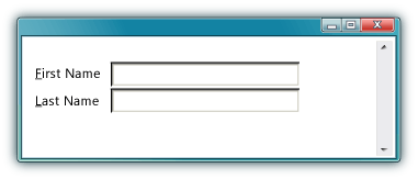 Input form showing use of access keys