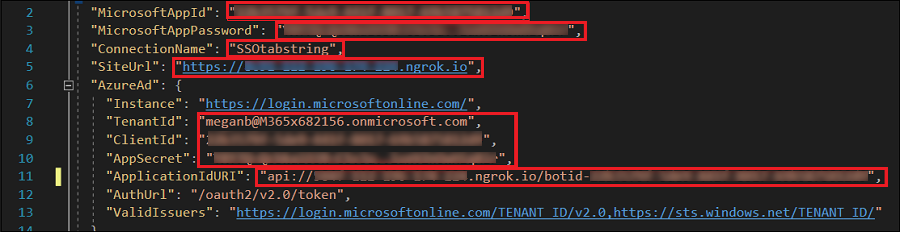 Снимок экрана: файл appsettings.json, в котором введенные значения выделены красным цветом.