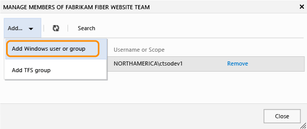 Choose to add Windows accounts or a TFS group