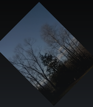 Пример снимка экрана динамического изображения с камеры устройства