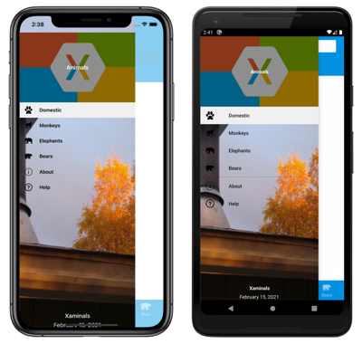 Снимок экрана: всплывающий элемент оболочки в iOS и Android