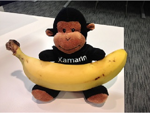 Отображение примера Отображение примера