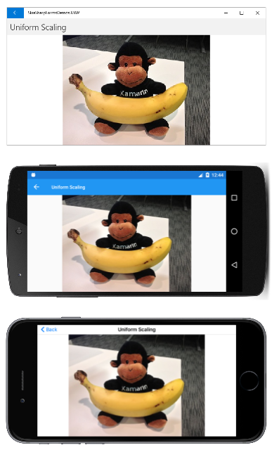 Единый ландшафт масштабирования Единый ландшафт масштабирования
