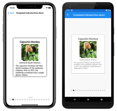 Templated IndicatorView Снимок экрана: шаблон индикатора в iOS и Android