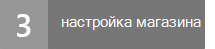 Шаг 3. Теперь вы можете настроить магазин в Project Online