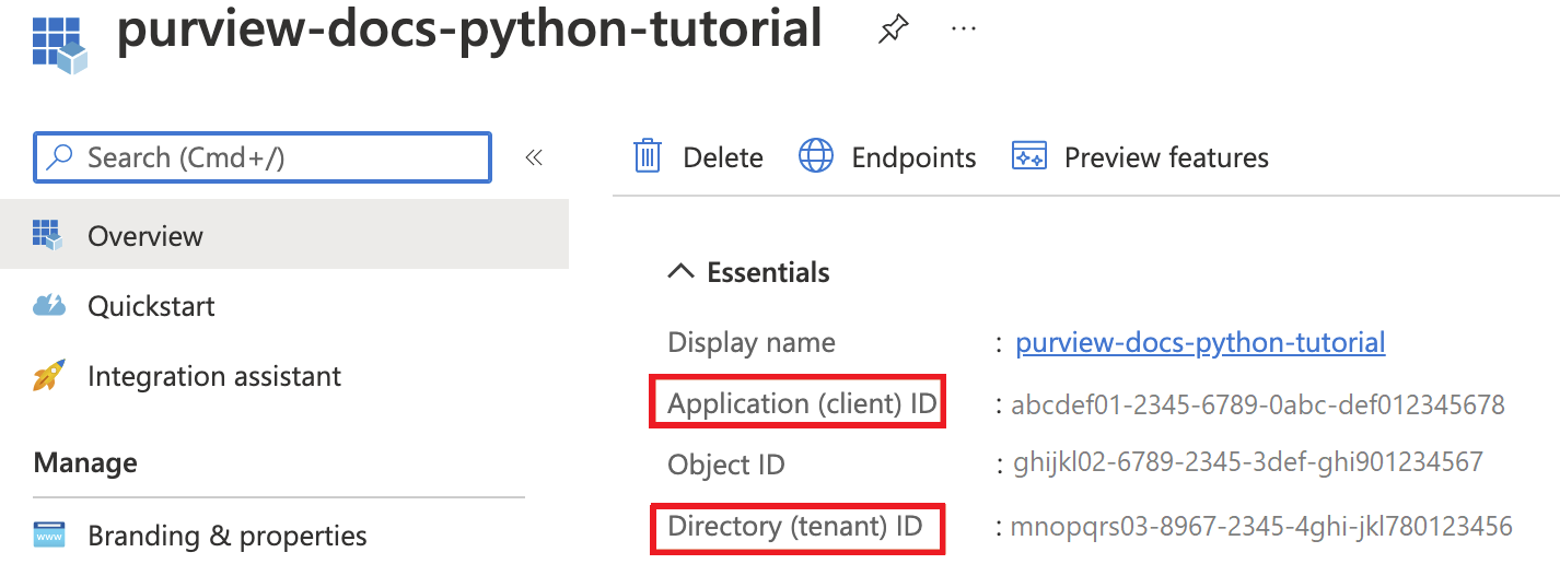 Снимок экрана: страница субъекта-службы в портал Azure с выделенными идентификатором клиента и идентификатором клиента.