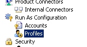 Screenshot showing the Profiles option.