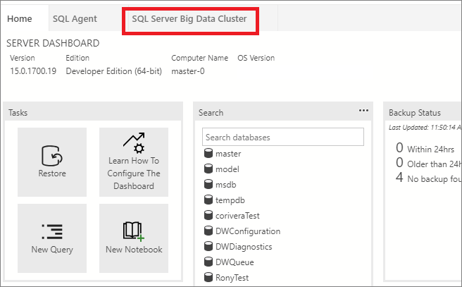 A screenshot from Azure Data Studio showing the Big data cluster dashboard.