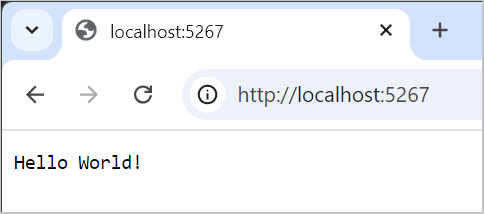 Снимок экрана: браузер, отображающий текстовые выходные данные.