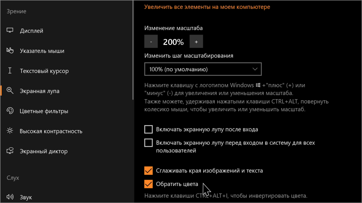 Снимок экрана с открытым окном параметров Экранной лупы, увеличенным масштабом экрана и включенной инверсией цветов.