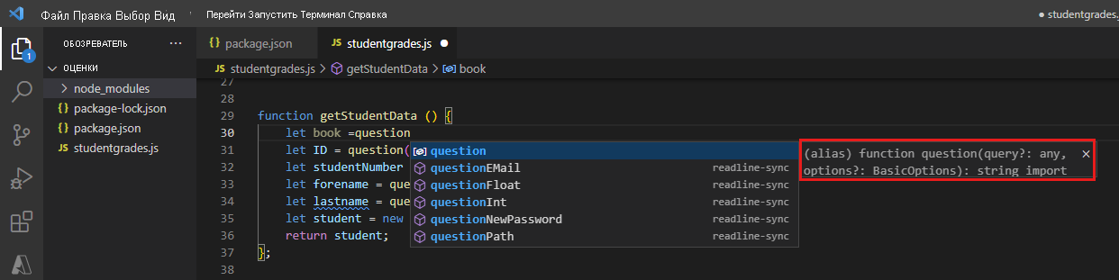 Screenshot of the editor Visual Studio Code, showing the parameters for a function call.