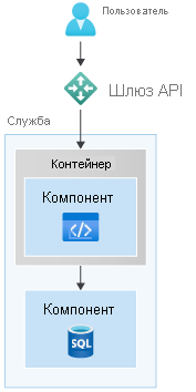 Облачная разработка с контейнерами с компонентом кода, находящимся в контейнере, в то время как компонент базы данных не находится в контейнере.
