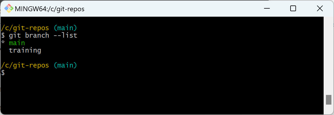 снимок экрана команды Git Branch --list.