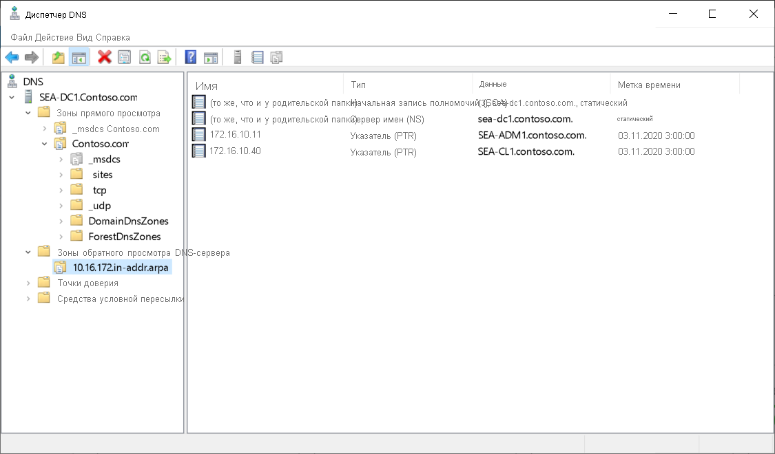 A screenshot of the 10.16.172.in-addr.arpa zone in DNS. Displayed are several PTR resource records. Also displayed is a forward lookup zone for Contoso.com.