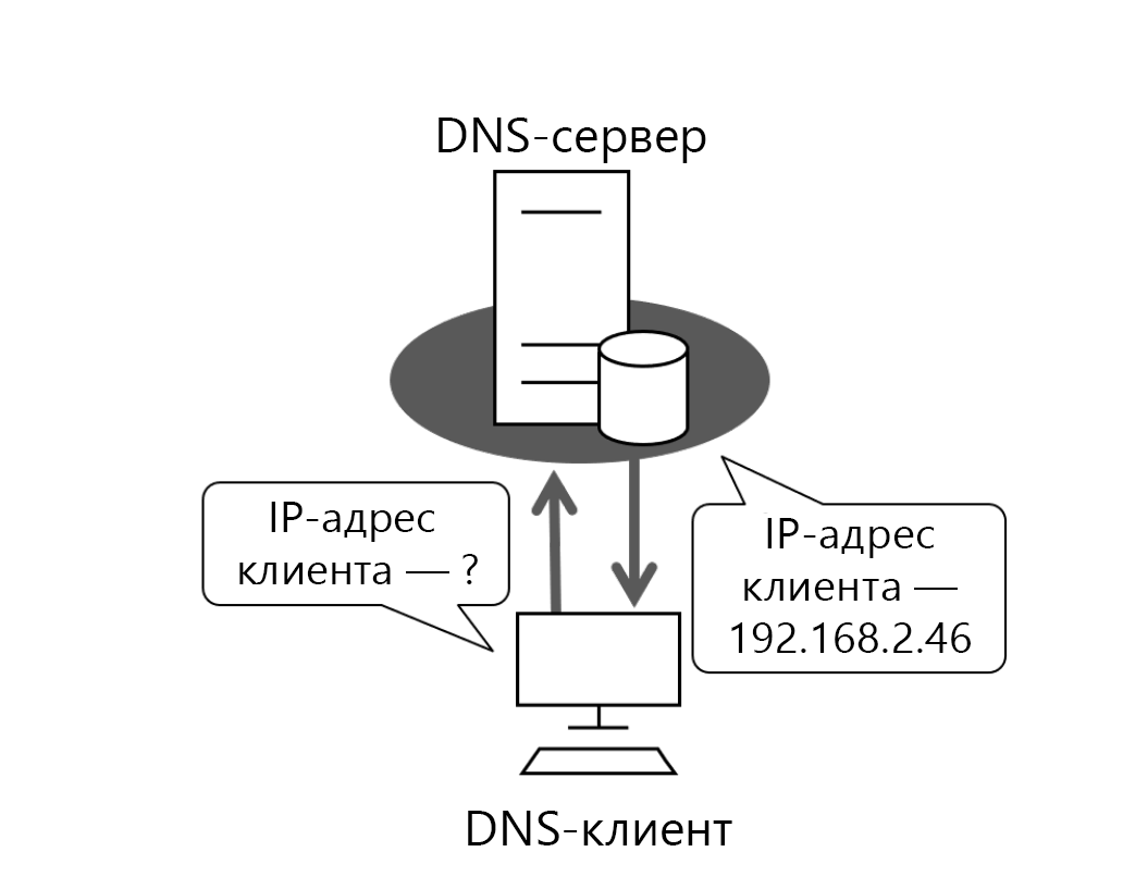 Diagram of a DNS client petitioning its configured DNS server. It performs a simple query for an IP address that's based on a name.