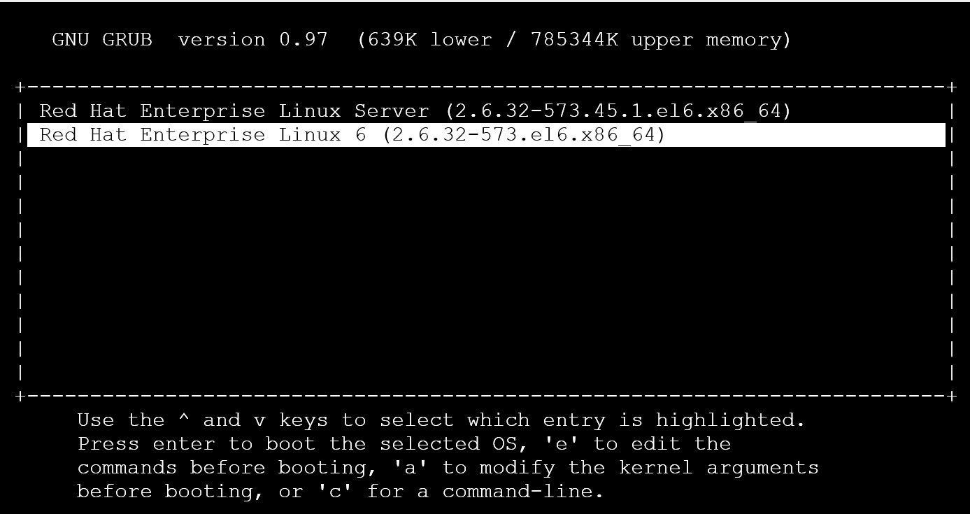 Снимок экрана: консоль с двумя параметрами Linux.