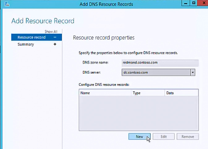 Создать dns запись. DNS resource record. Назначение resource record DNS. DNS Manager Windows 10. Microsoft DNS Photoshop.