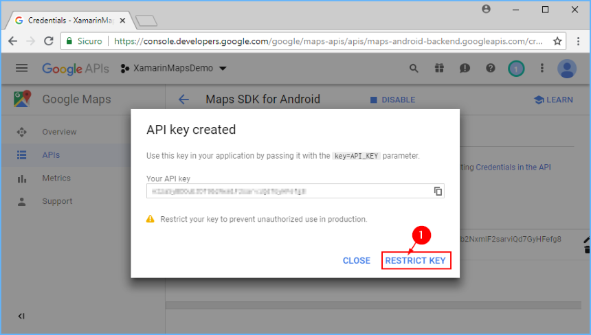 Credentials page. Ключ для Maps API. Google API Key. Google APIS:Console. API Key restriction.